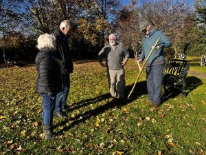 Wildflower Meadow / Scything Workshop