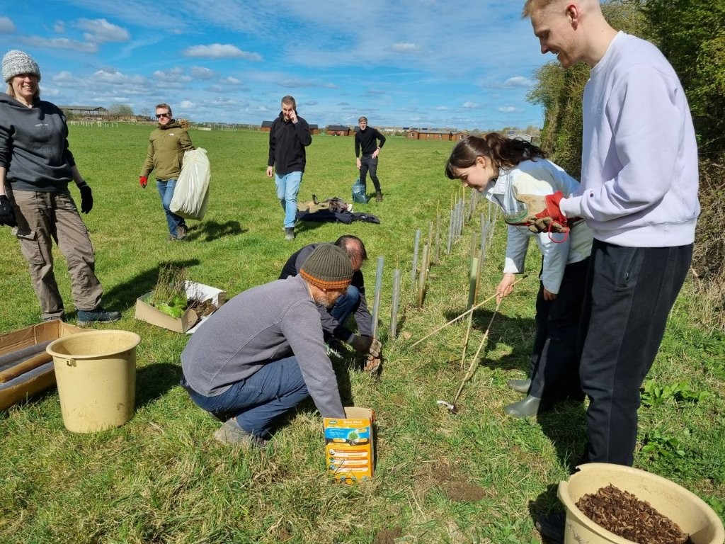 Adventure Plus Tree Planting
