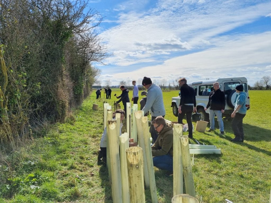 Adventure Plus Tree Planting