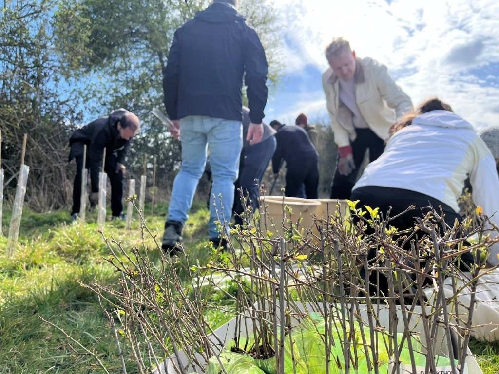 Adventure Plus Tree Planting