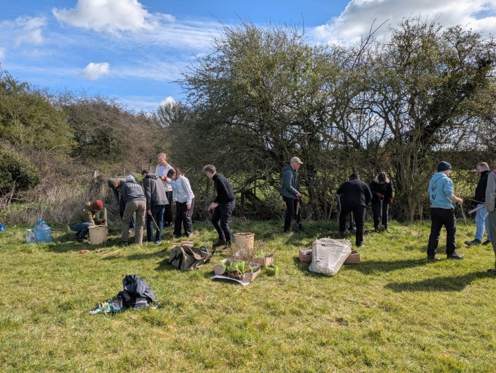 Adventure Plus Tree Planting