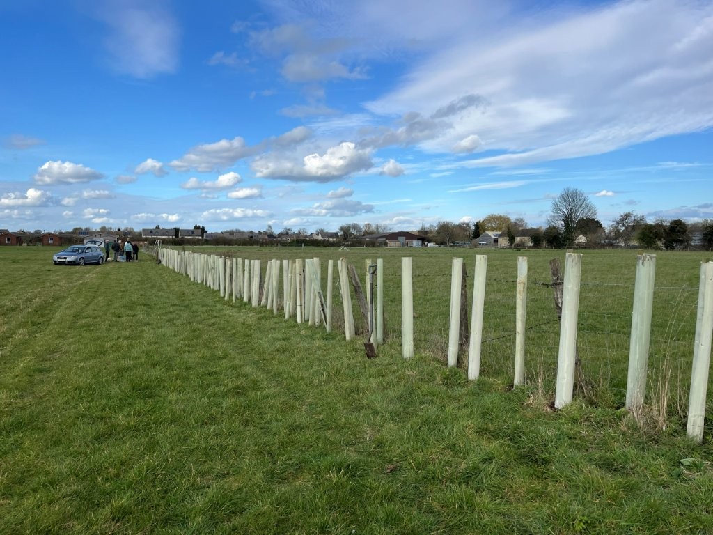 Adventure Plus Tree Planting